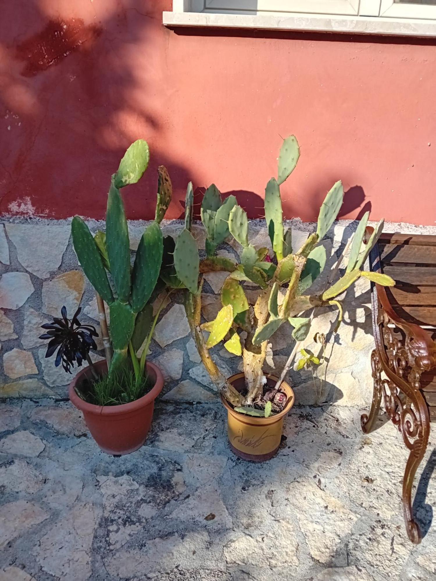 Apartamento Bella Di Notte San Giorgio a Liri Exterior foto