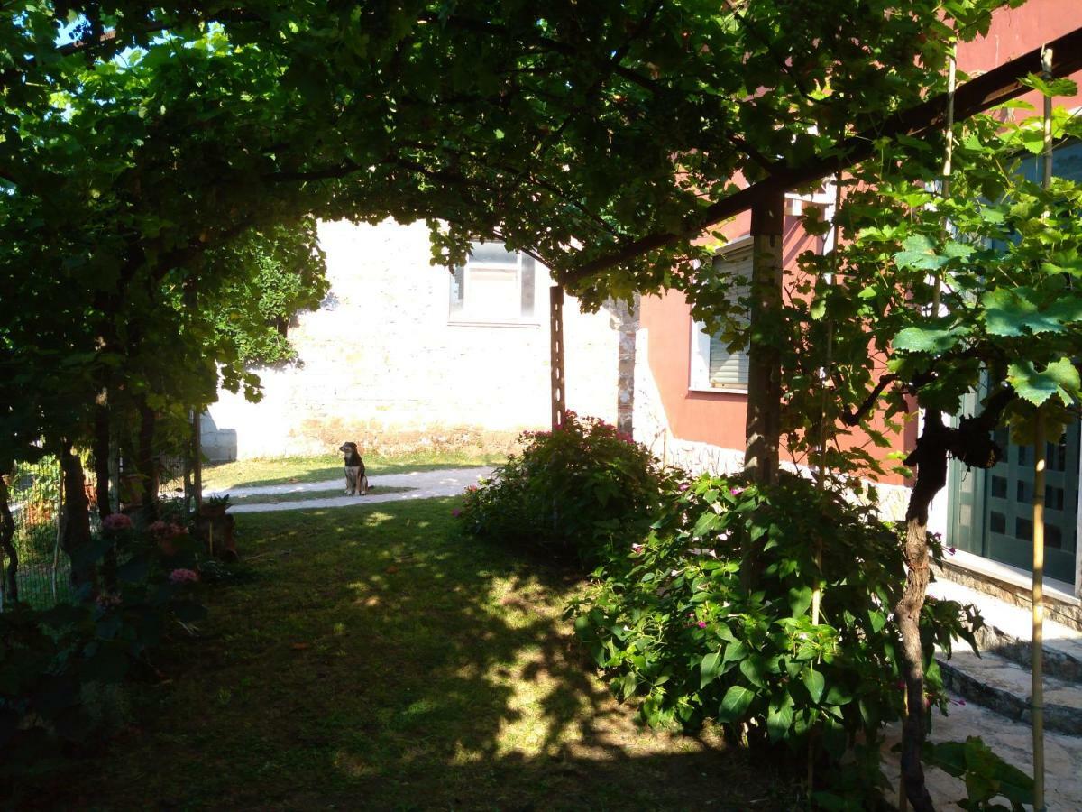 Apartamento Bella Di Notte San Giorgio a Liri Exterior foto